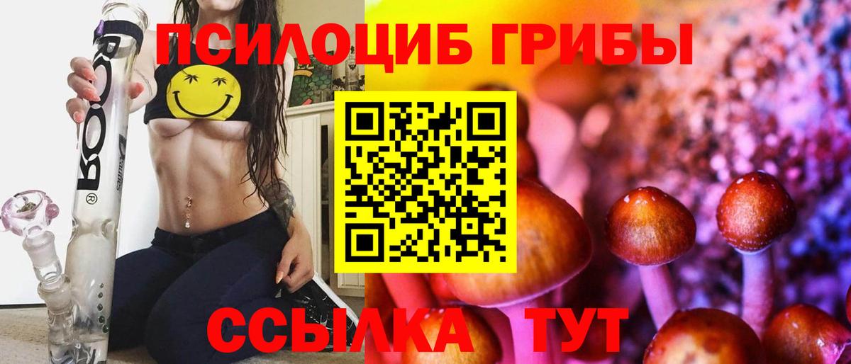 закладка  Вход с VPN  Рыбинск  Псилоцибиновые грибы Psilocybe 