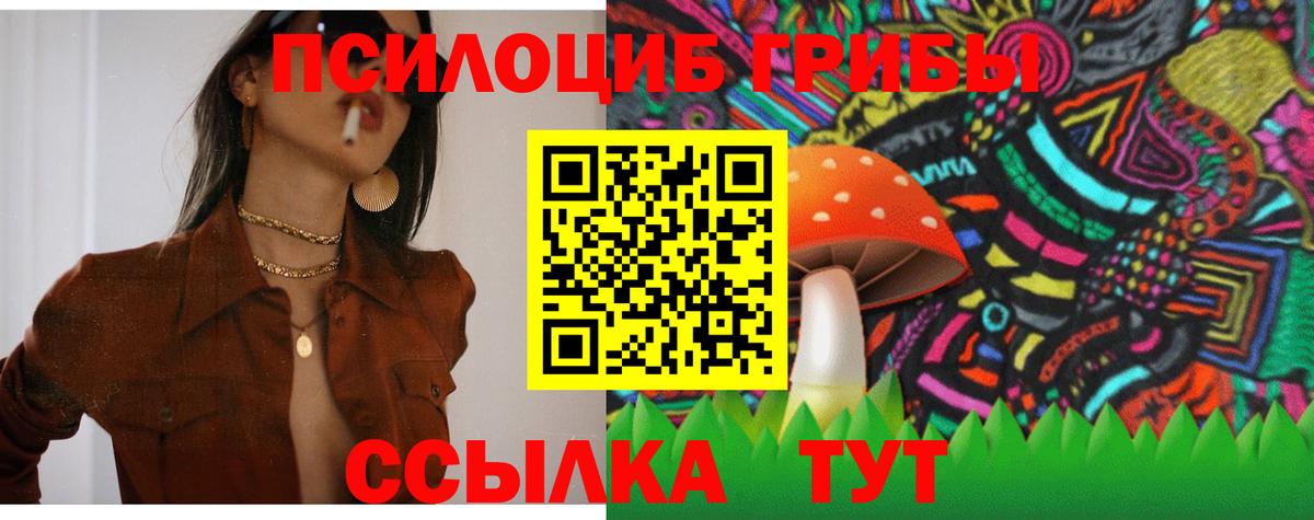 Галлюциногенные грибы Magic Shrooms Рыбинск
